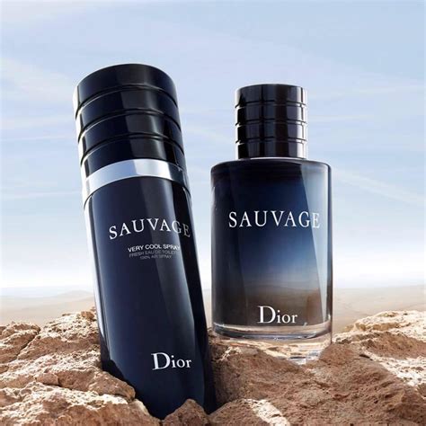 very cool spray dior sauvage|dior sauvage cool spray price.